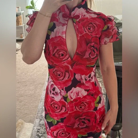 Sau Lee Dress - Picture 2 of 5